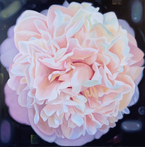 Pink Peony richard jurtitsch