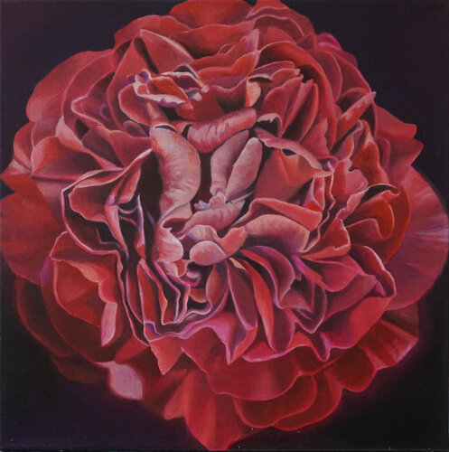 Darkred Peony van richard jurtitsch, Schilderij te koop op Singulart