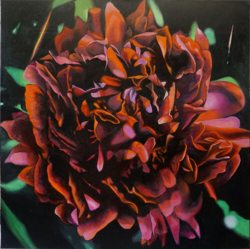 Pink Peony von richard jurtitsch, Malerei kaufen auf Singulart