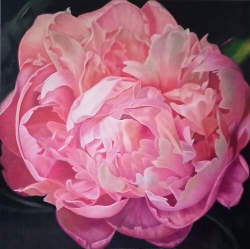 Pink Peony von richard jurtitsch, Malerei kaufen auf Singulart