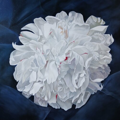 Whites on blue velvet van richard jurtitsch, Schilderij te koop op Singulart
