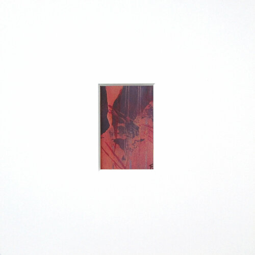 violett 2 / Mikrokosmos Kerstin Franz