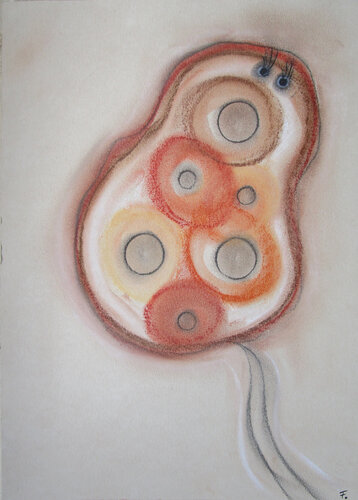 Wimperntierchen 1 by Kerstin Franz, Work on Paper for Sale on Singulart