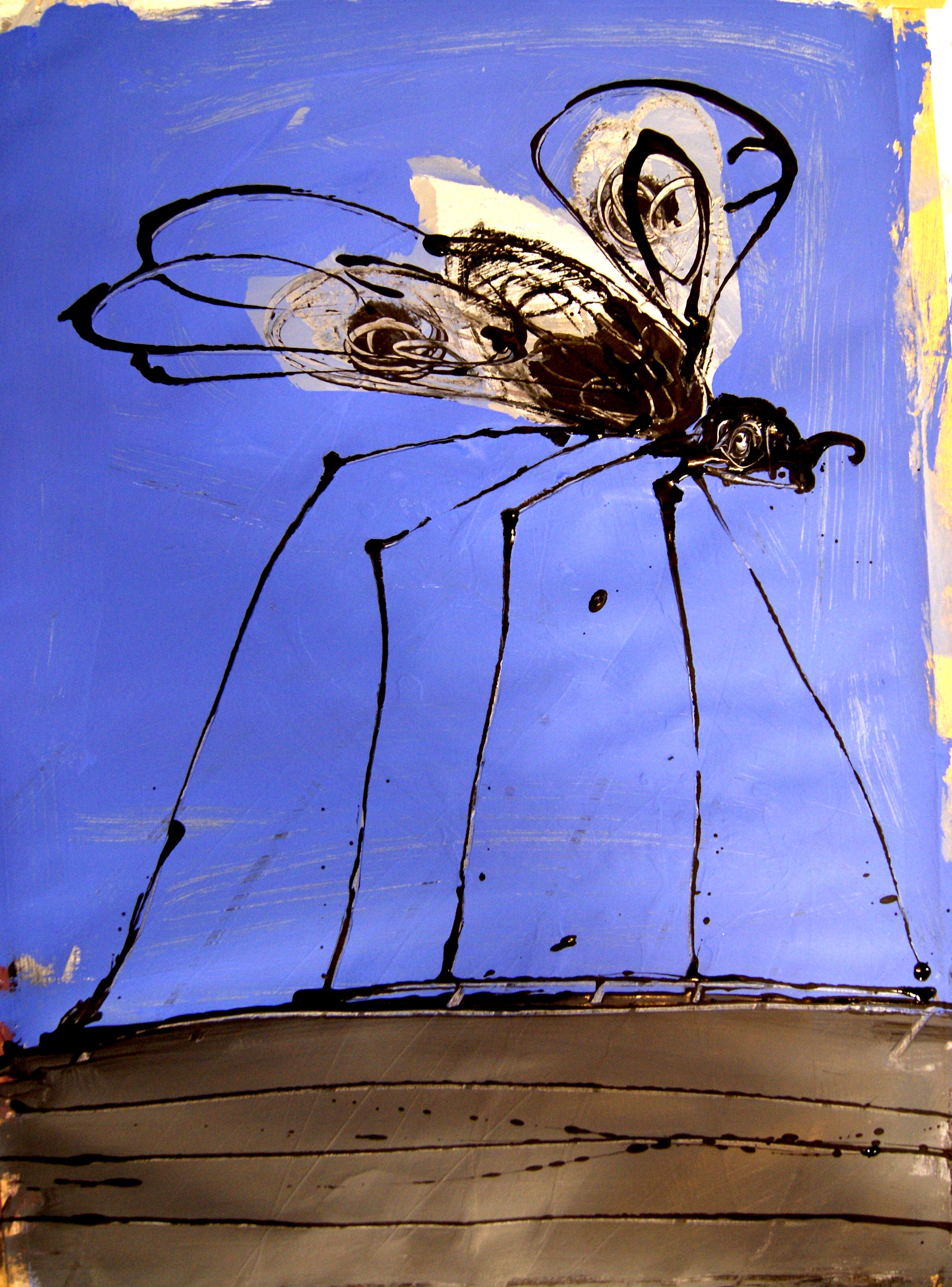 The Insect Collection