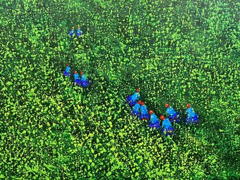 Seeding season No.2 Trong Thuong Tran