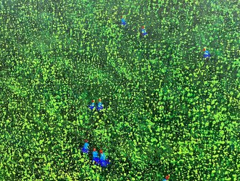 Seeding season No.2 Trong Thuong Tran