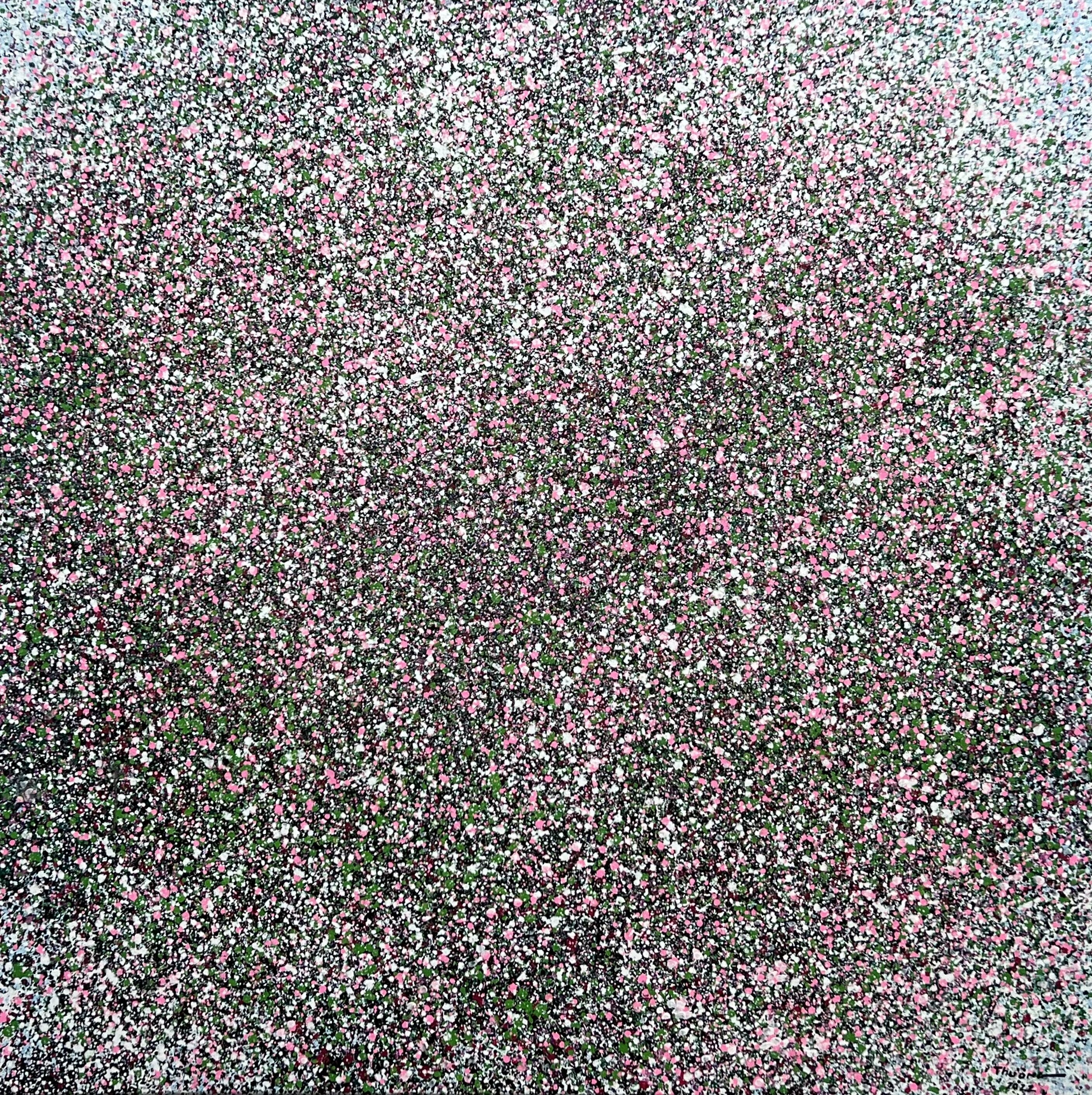 Tema Magenta Pinturas