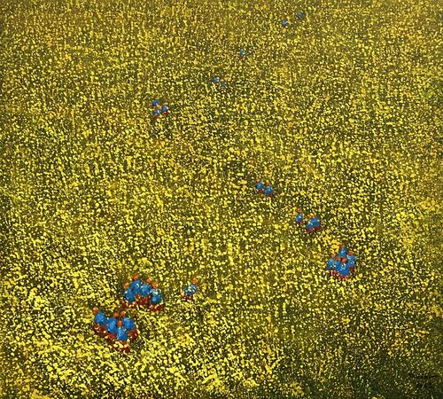 Harvest season Trong Thuong Tran