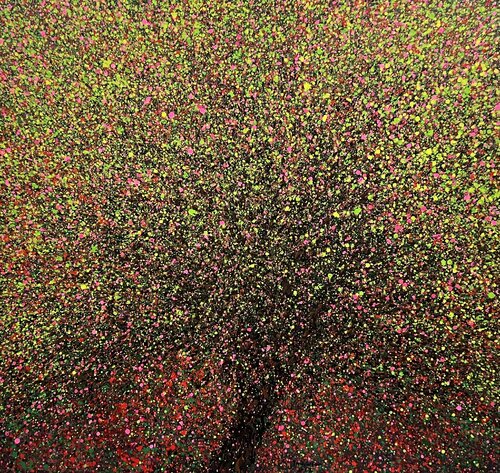 Red Barringtonia Trong Thuong Tran