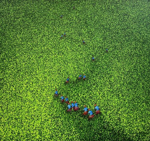 Green domain Trong Thuong Tran