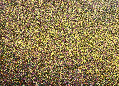 Autumn sunshine on the flower of grass Trong Thuong Tran