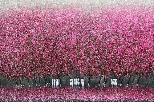 Cherry blossoms in the spring breeze di Trong Thuong Tran, Pittura in vendita su Singulart