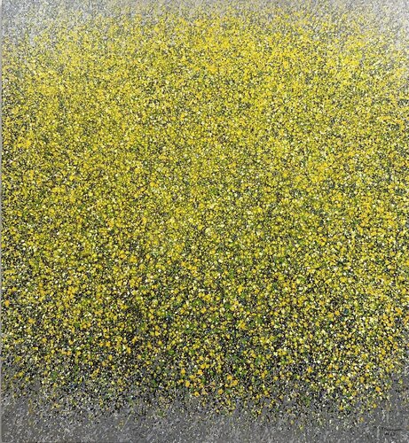 The shadow falls Trong Thuong Tran