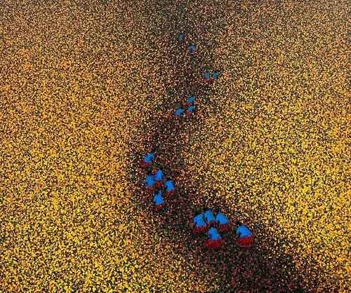 The way to the flower land No.4 von Trong Thuong Tran, Malerei kaufen auf Singulart