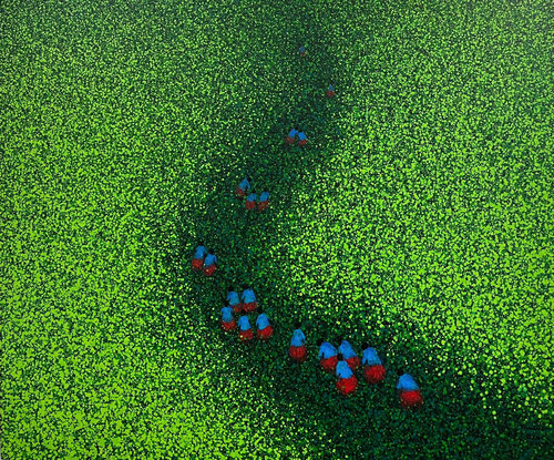 The way to the flower land No.5 Trong Thuong Tran