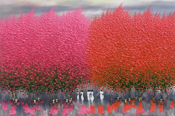 Morning summer Trong Thuong Tran