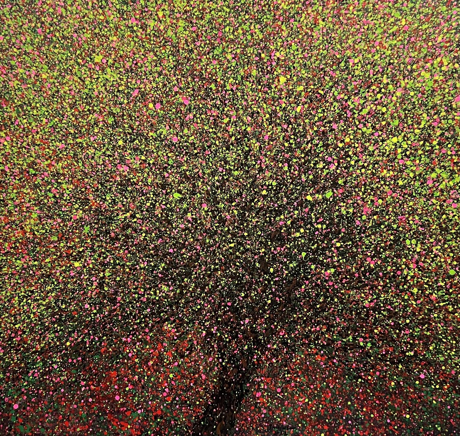 Red Barringtonia Trong Thuong Tran