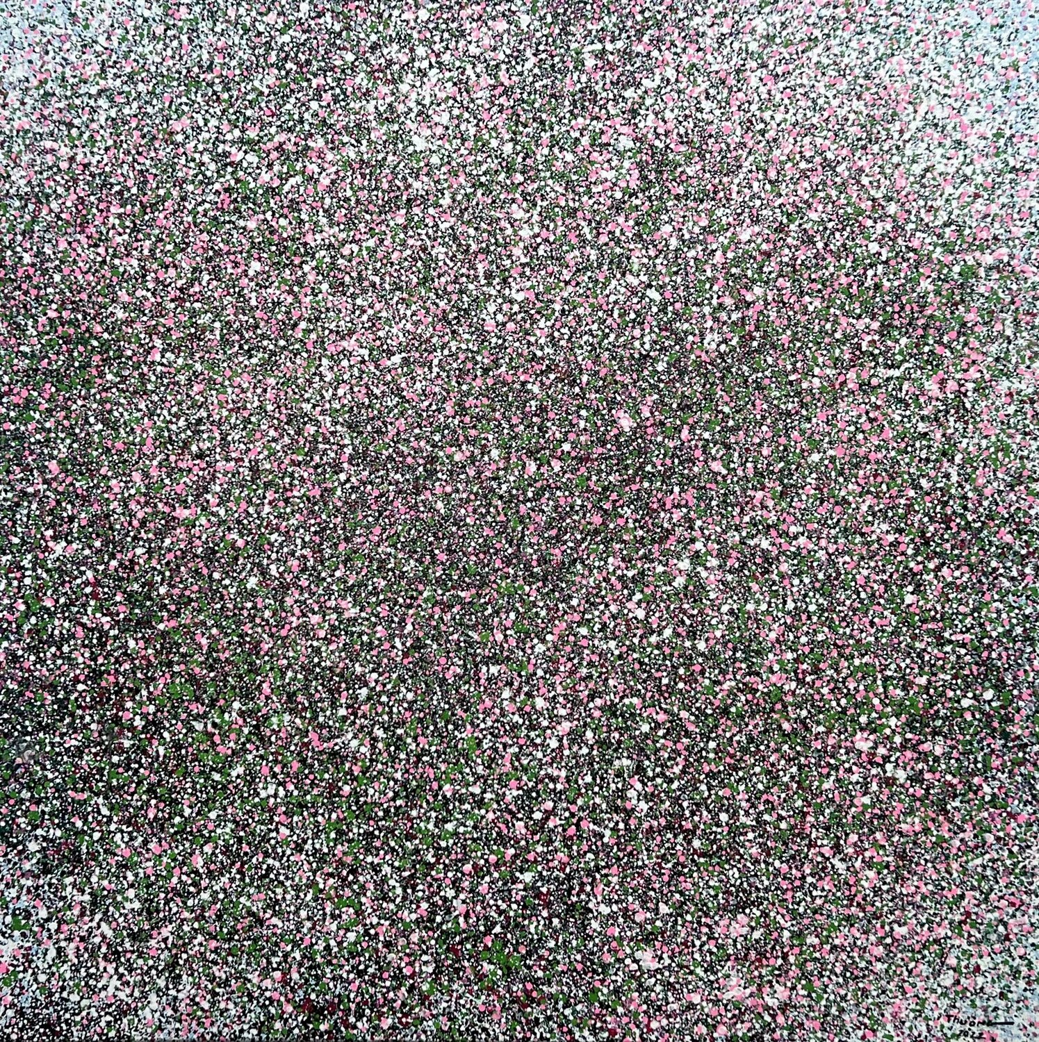 White flower spring day Trong Thuong Tran