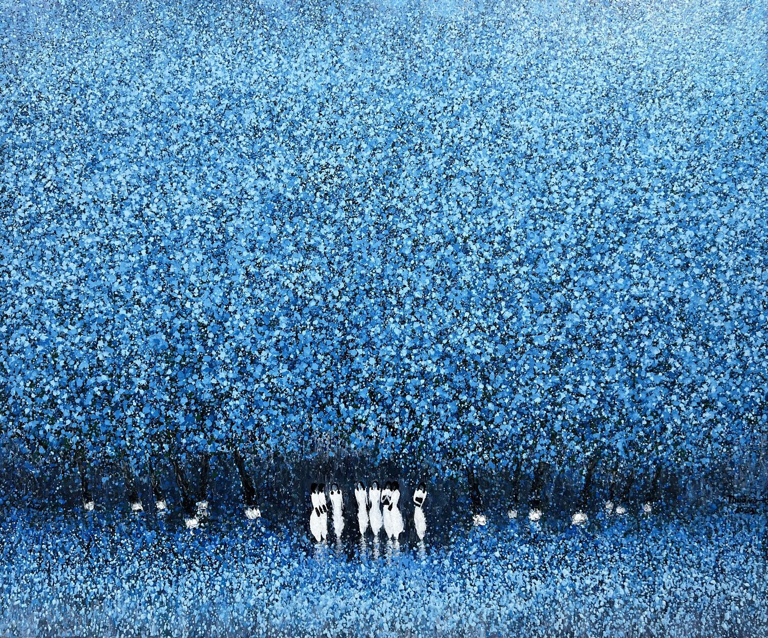 Spring sunshine Trong Thuong Tran
