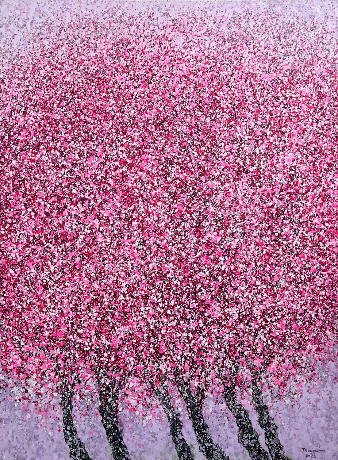 Cherry blossoms in spring Trong Thuong Tran