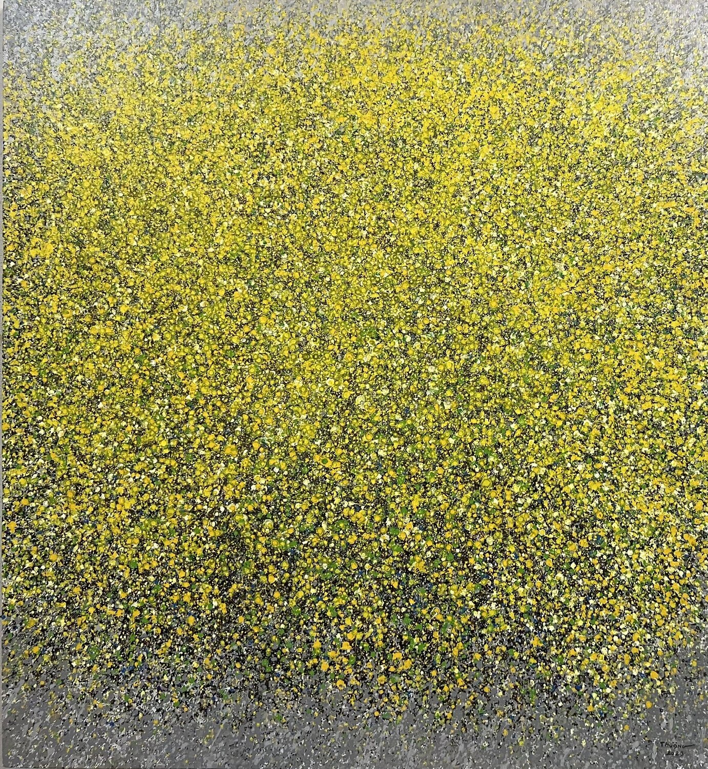 The shadow falls Trong Thuong Tran