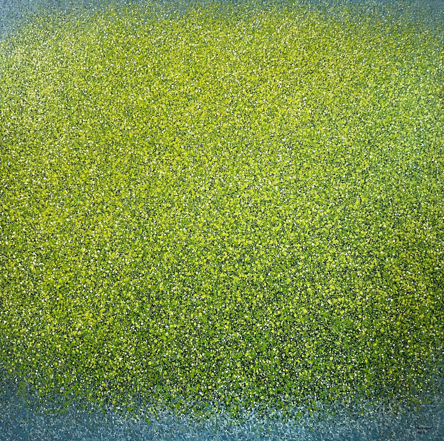 Spring shadow No.2 Trong Thuong Tran