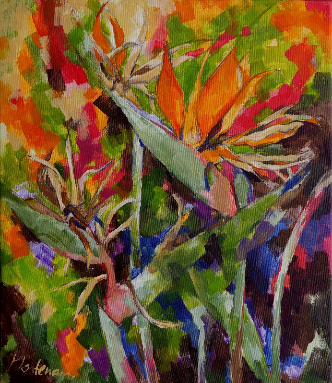 STRELITZIEN II Miriam Montenegro