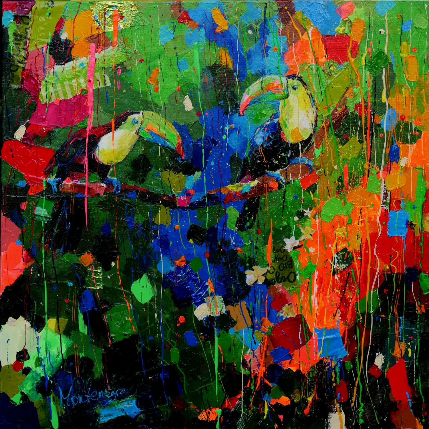 Save the rainforest Miriam Montenegro