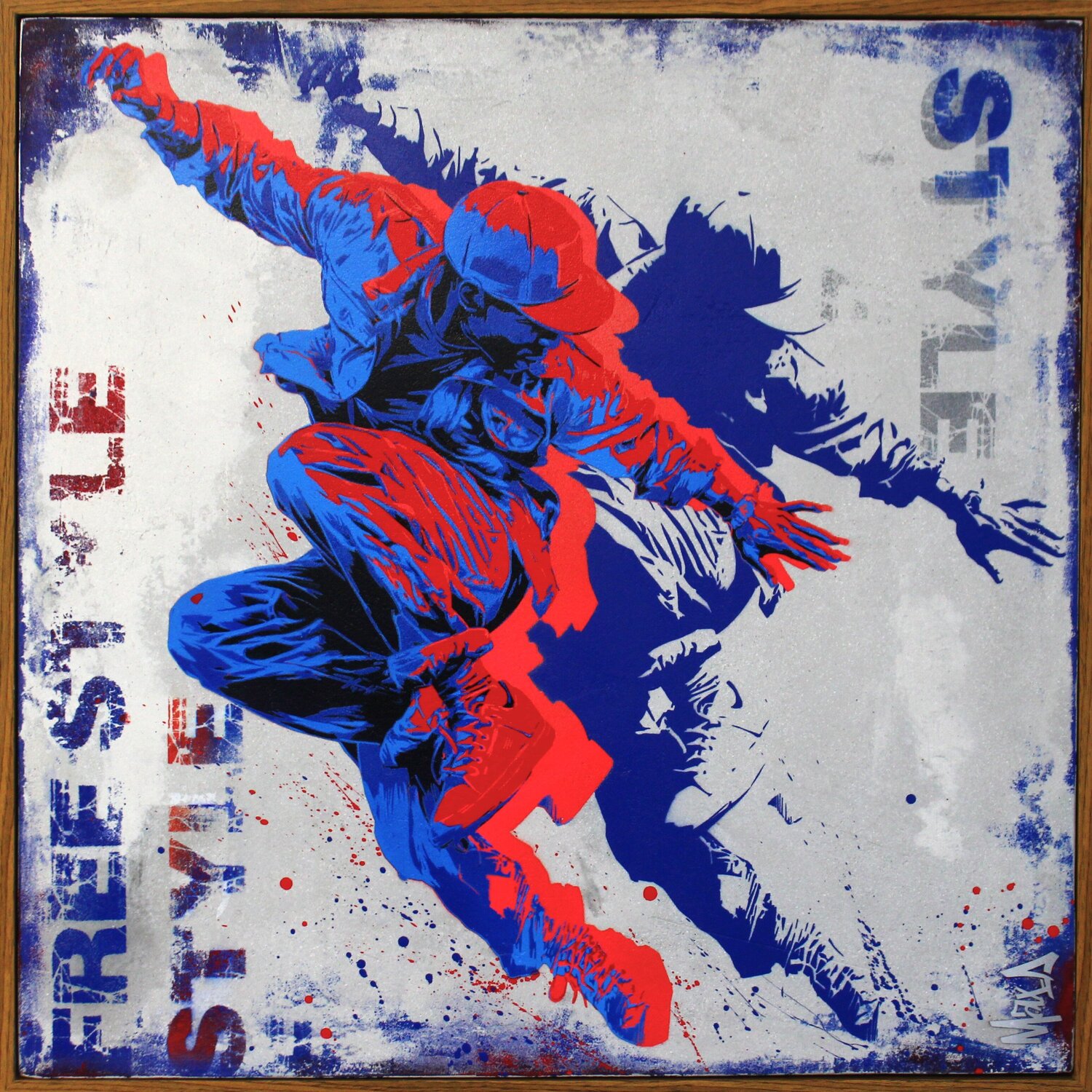 free style Maxime Andriot