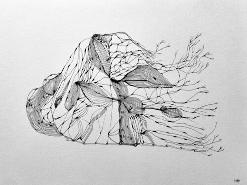 Toile végétale LABB