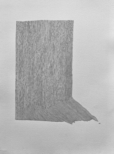 TREE STUMP par LABB, Œuvre sur papier en vente sur Singulart