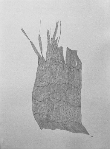 PLANT MACRO by LABB, Work on Paper for Sale on Singulart