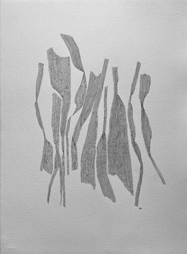 STEM FRAGMENTS by LABB, Work on Paper for Sale on Singulart