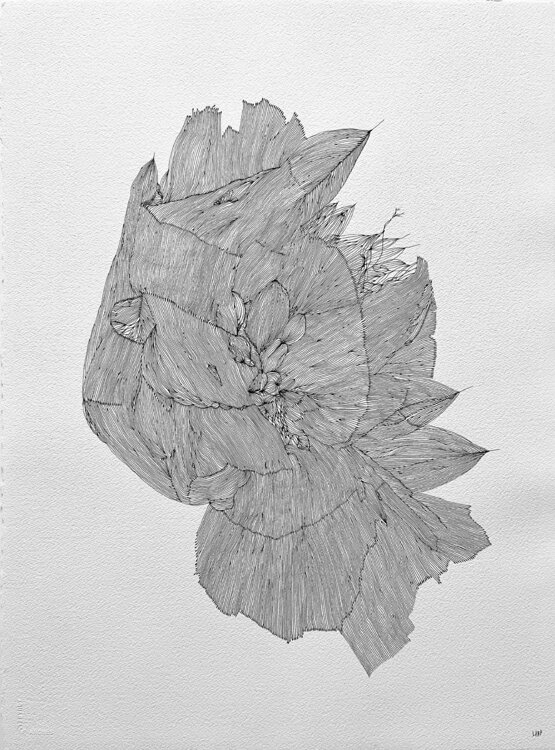 ORGAN FLOWER LABB