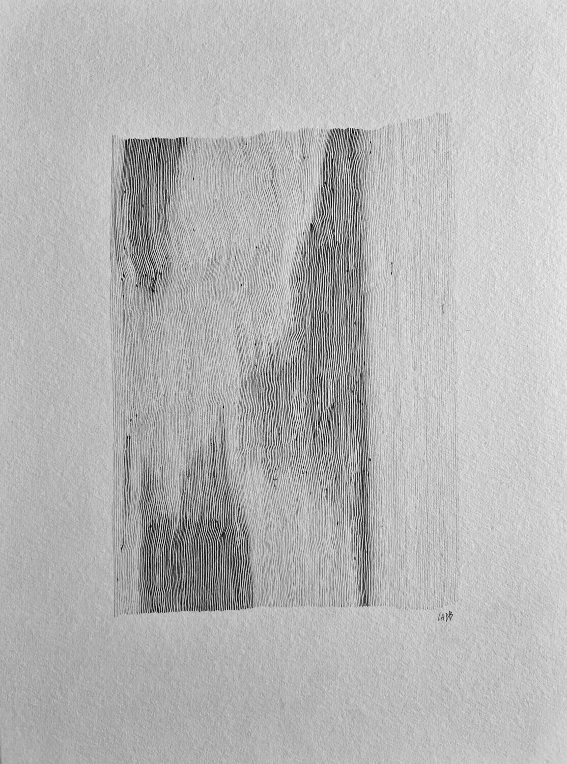 VISIBLE INVISIBLE LABB