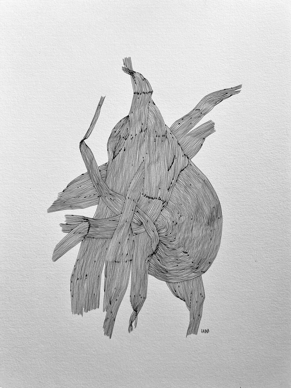 VEGETAL ORGAN 3 LABB