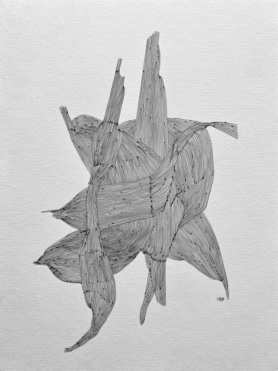 VEGETAL ORGAN 4 LABB