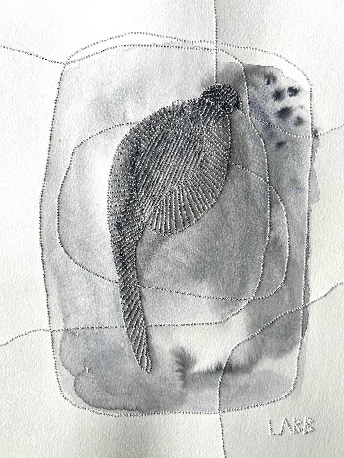 GREY BIRD LABB
