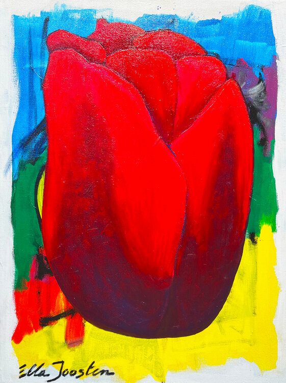 Red Tulip Ella Joosten