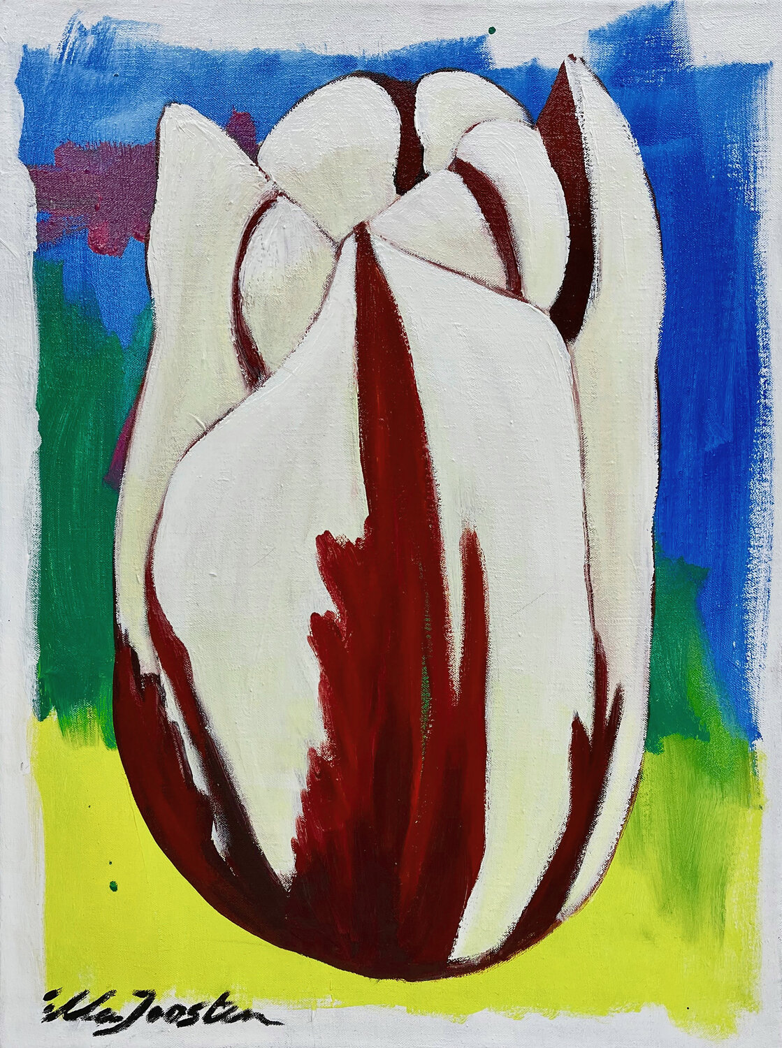 White Tulip Ella Joosten