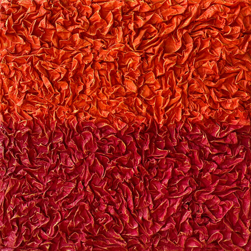THE LITTLE RED GARDEN von Alla Grande, Textil kaufen auf Singulart