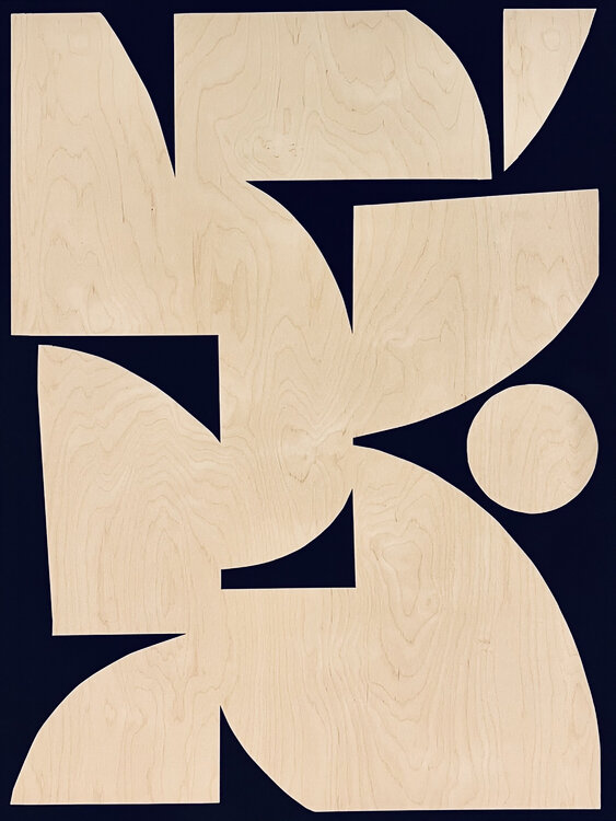 Organic forms B25 Anna Medvedeva