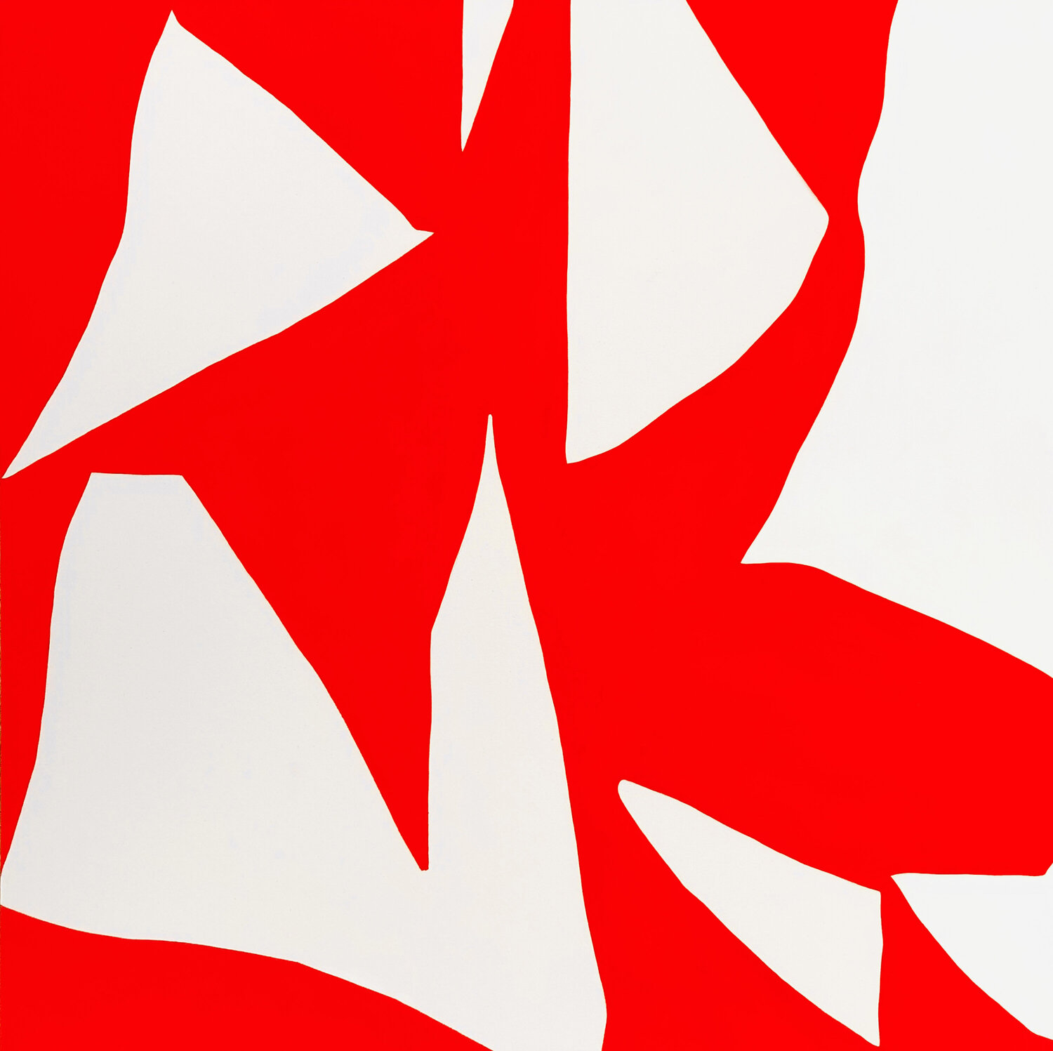 Organic Forms R38 Anna Medvedeva