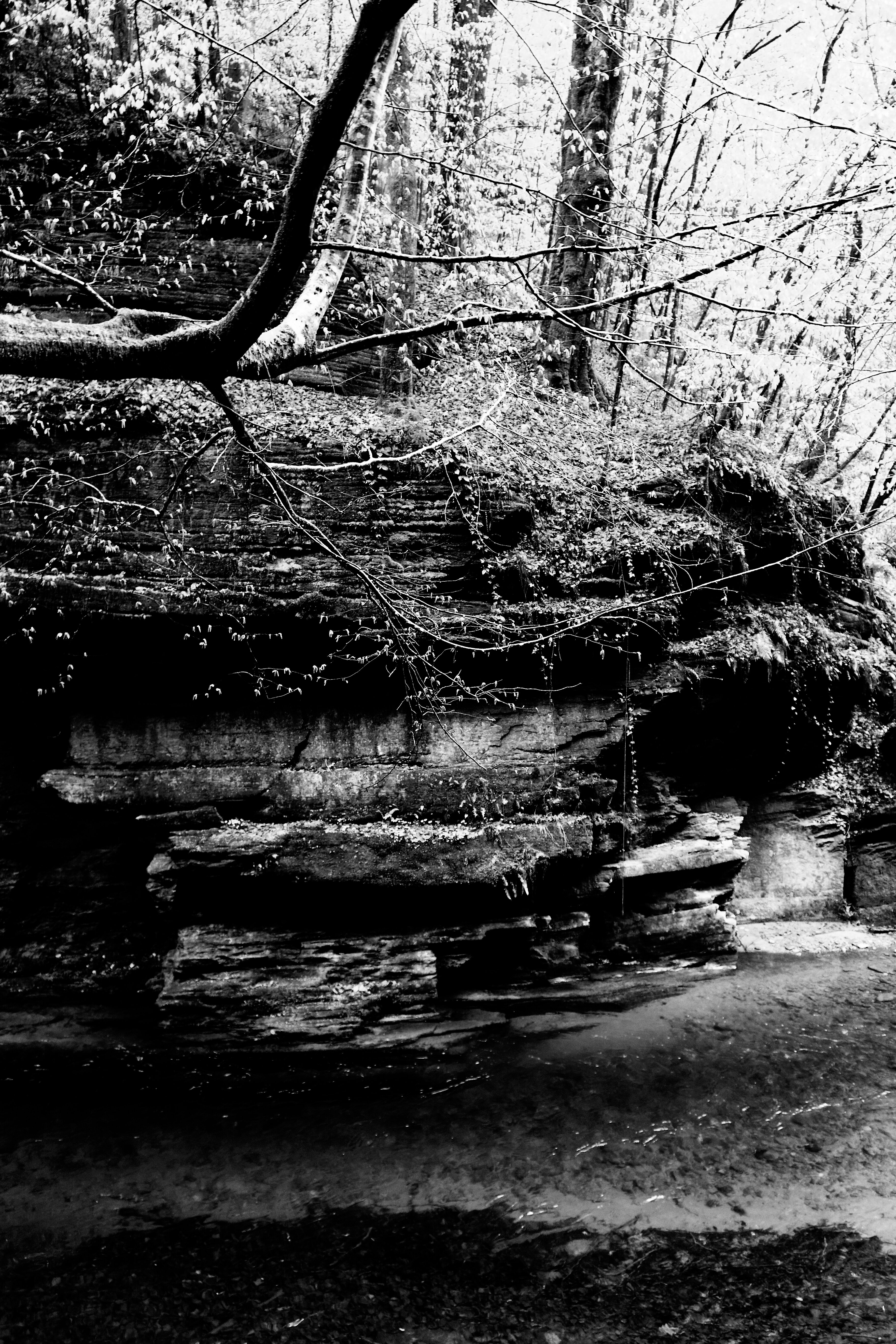 Nature éphémère