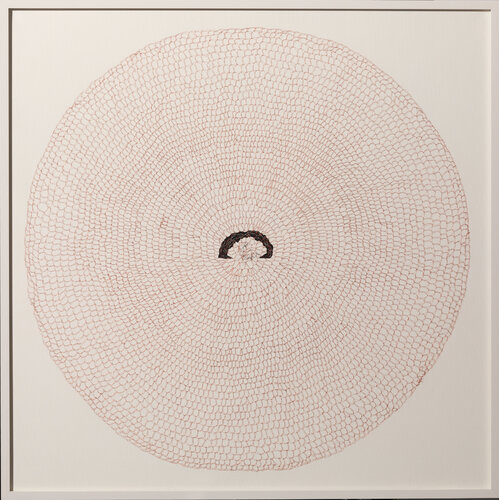 Ginkgo Inifinity - Deer Luise Kloos