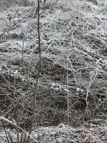 Winter Impression de Luise Kloos, Fotografía a la venta en Singulart