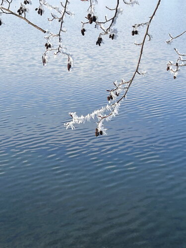 Wasser und Frost di Luise Kloos, Fotografia in vendita su Singulart