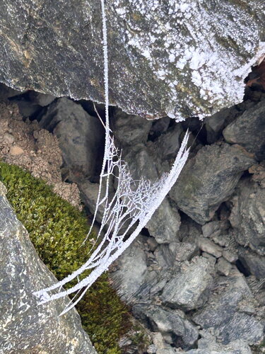 Stillleben im winterlichen Fels von Luise Kloos, Fotografie kaufen auf Singulart
