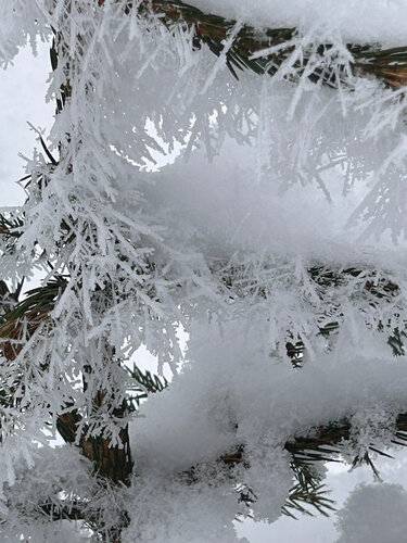 Zauber des Winters von Luise Kloos, Fotografie kaufen auf Singulart
