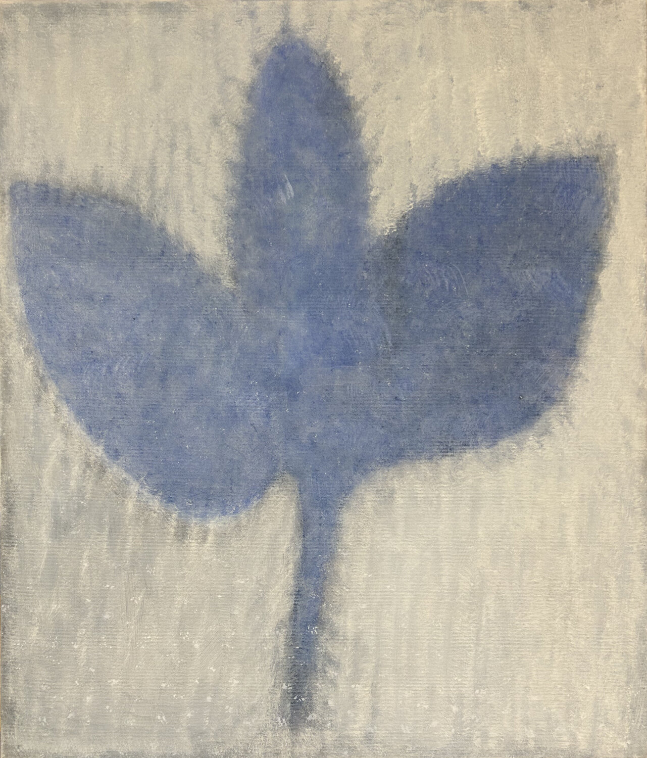 Blatt aus dem Schnee Luise Kloos